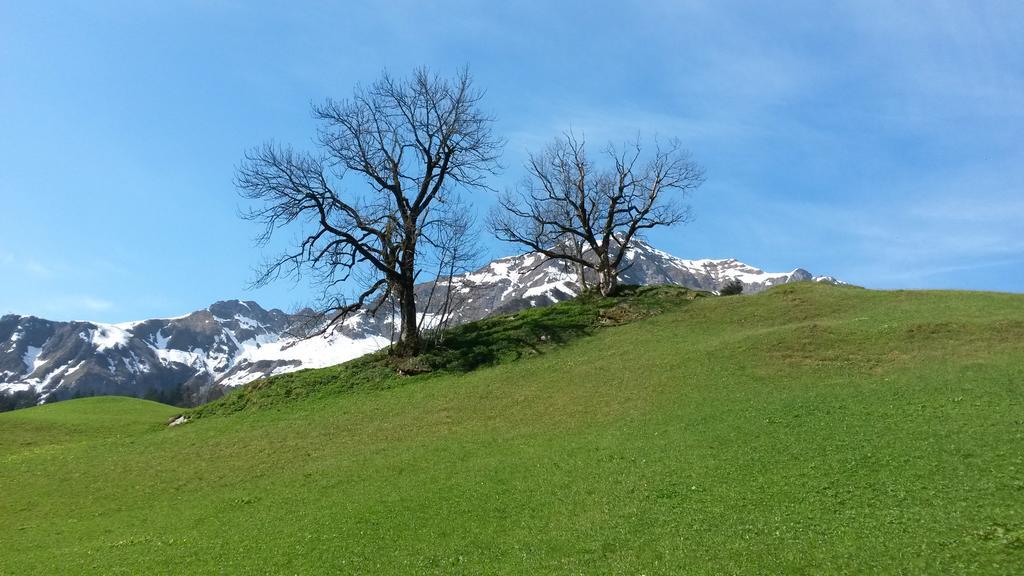 Alpin Chalet Schroecken Appartement Buitenkant foto